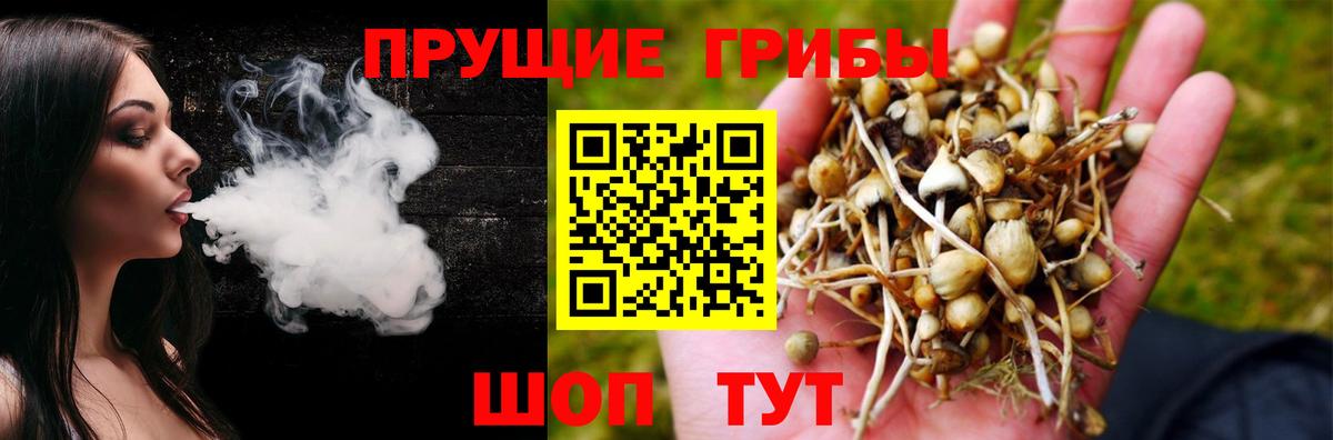 Псилоцибиновые грибы Magic Shrooms Красноперекопск
